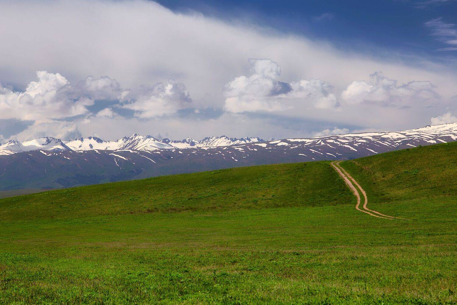 кыргызстан,горы, суусамыр, Элина Магалимова