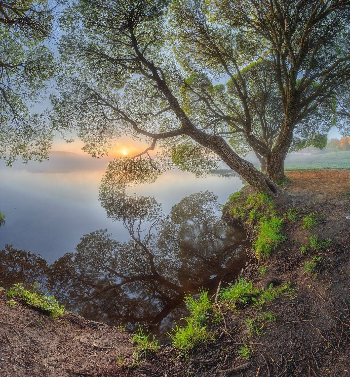 , Николай Андреев