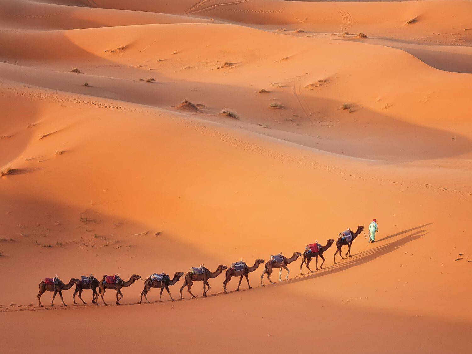 , Костадин Маджаров