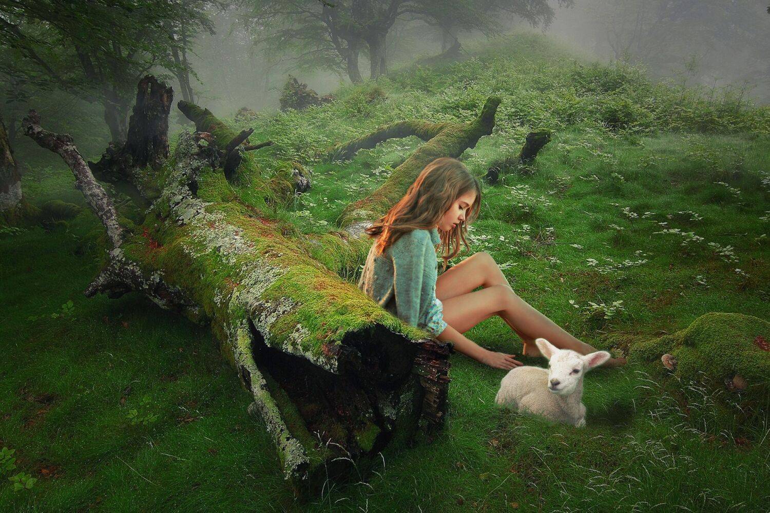 девочка, поляна, овечка, Sergii Vidov