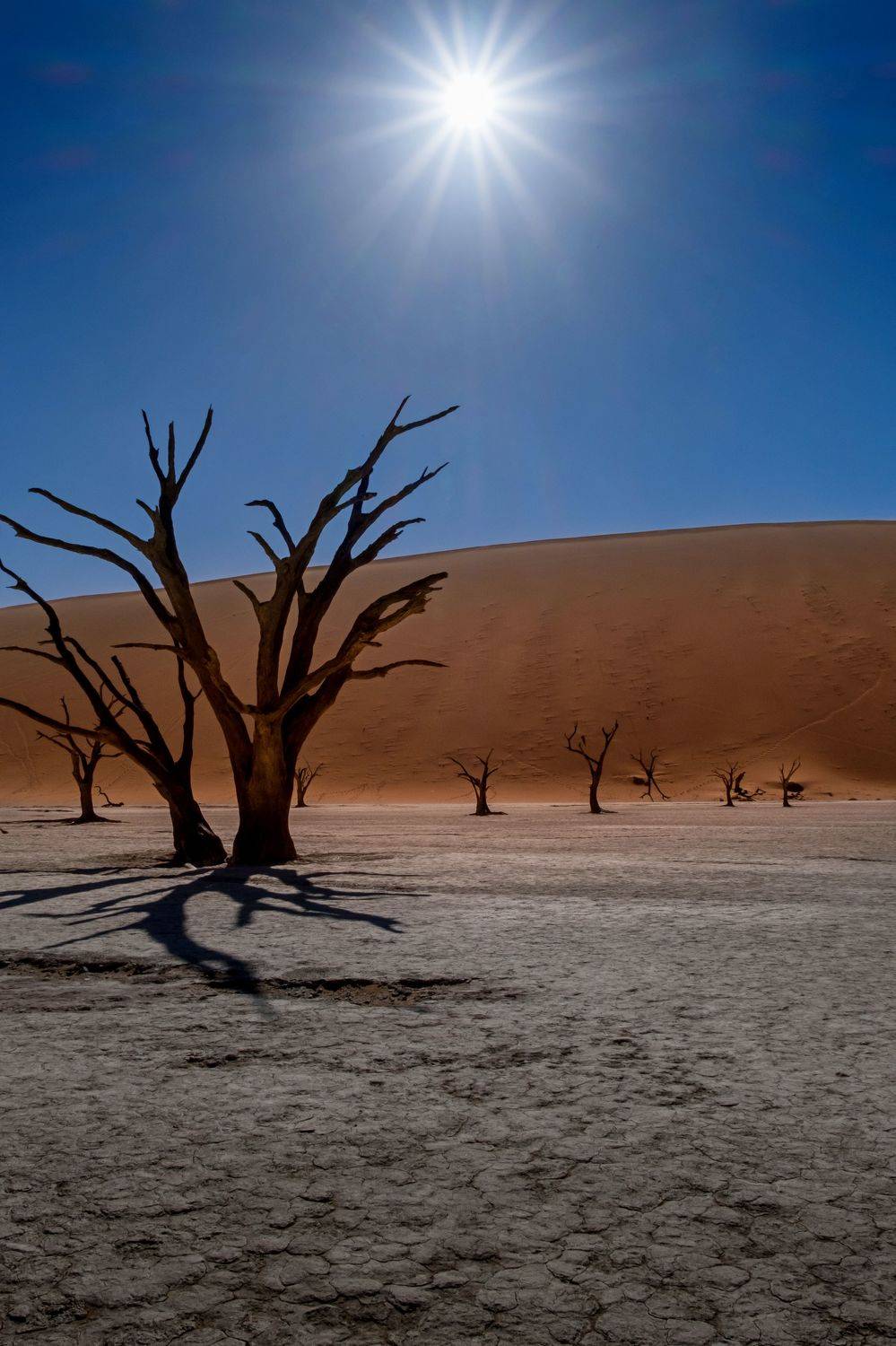 солнце, африка, намибия, соссусфлей, дюна, пустыня, sossusvlei, песок, africa, нд, namibia, sossusflei, dune, desert, sand, пейзаж, природа, намибия 2021, Демкина Надежда