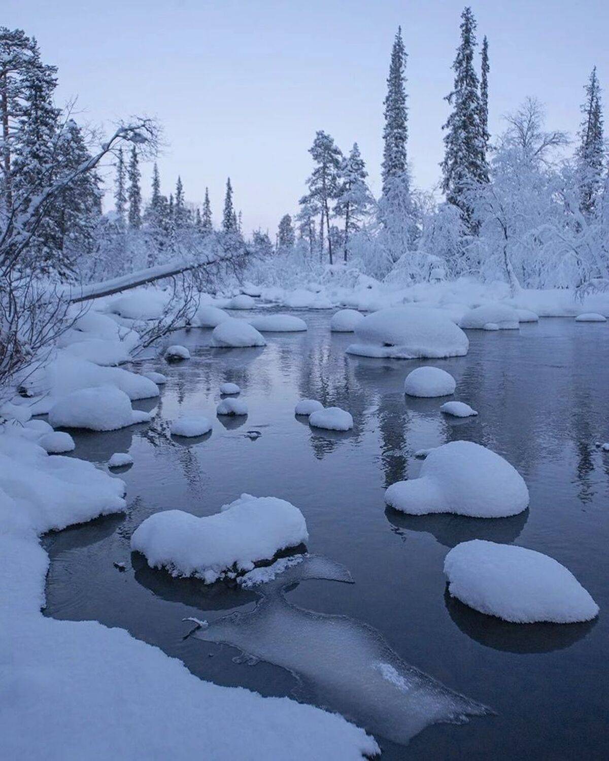 , Петр Косых