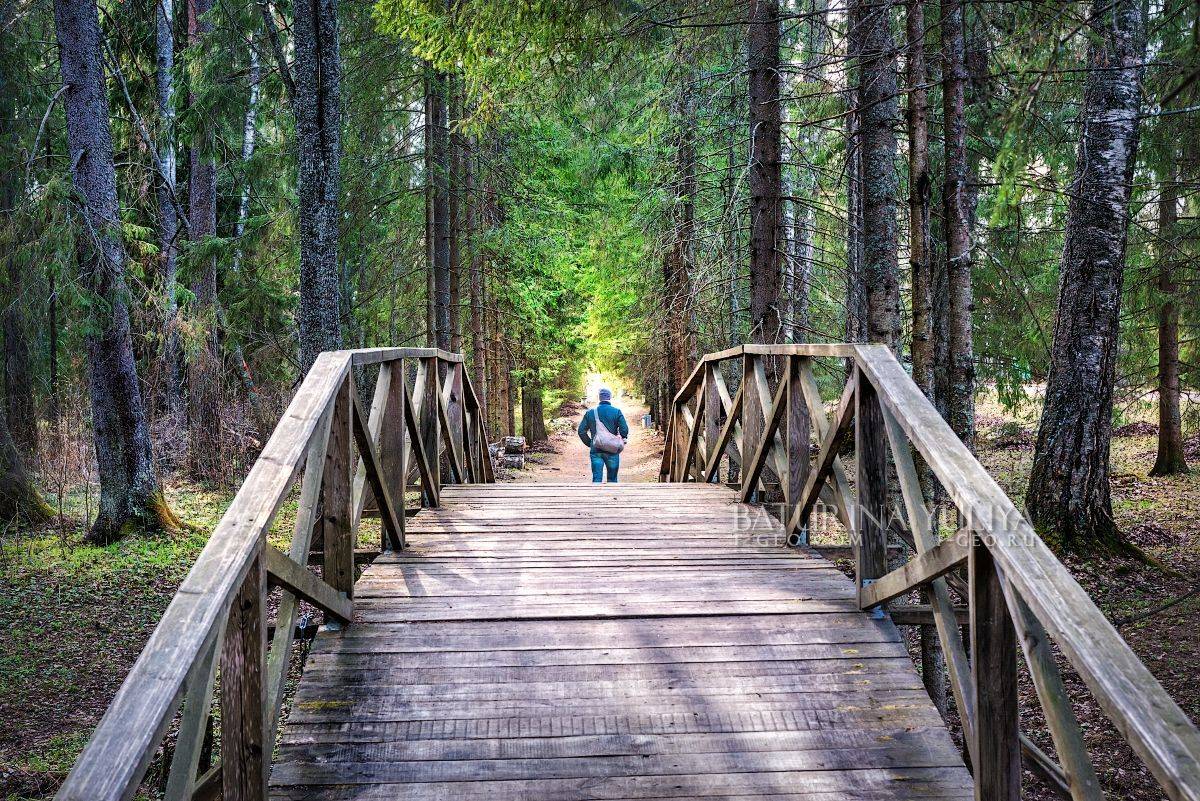 щелыково, кинешма, островский, Юлия Батурина