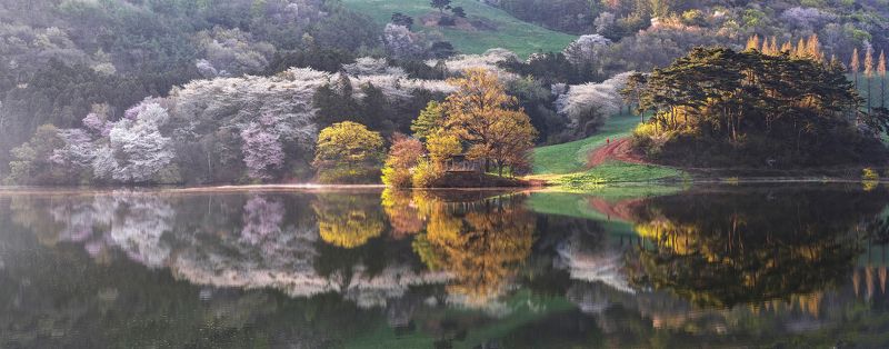 When The Spring Comes