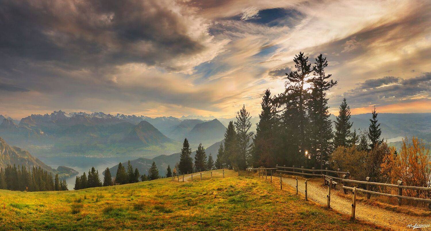 swiss, Матвеев Николай