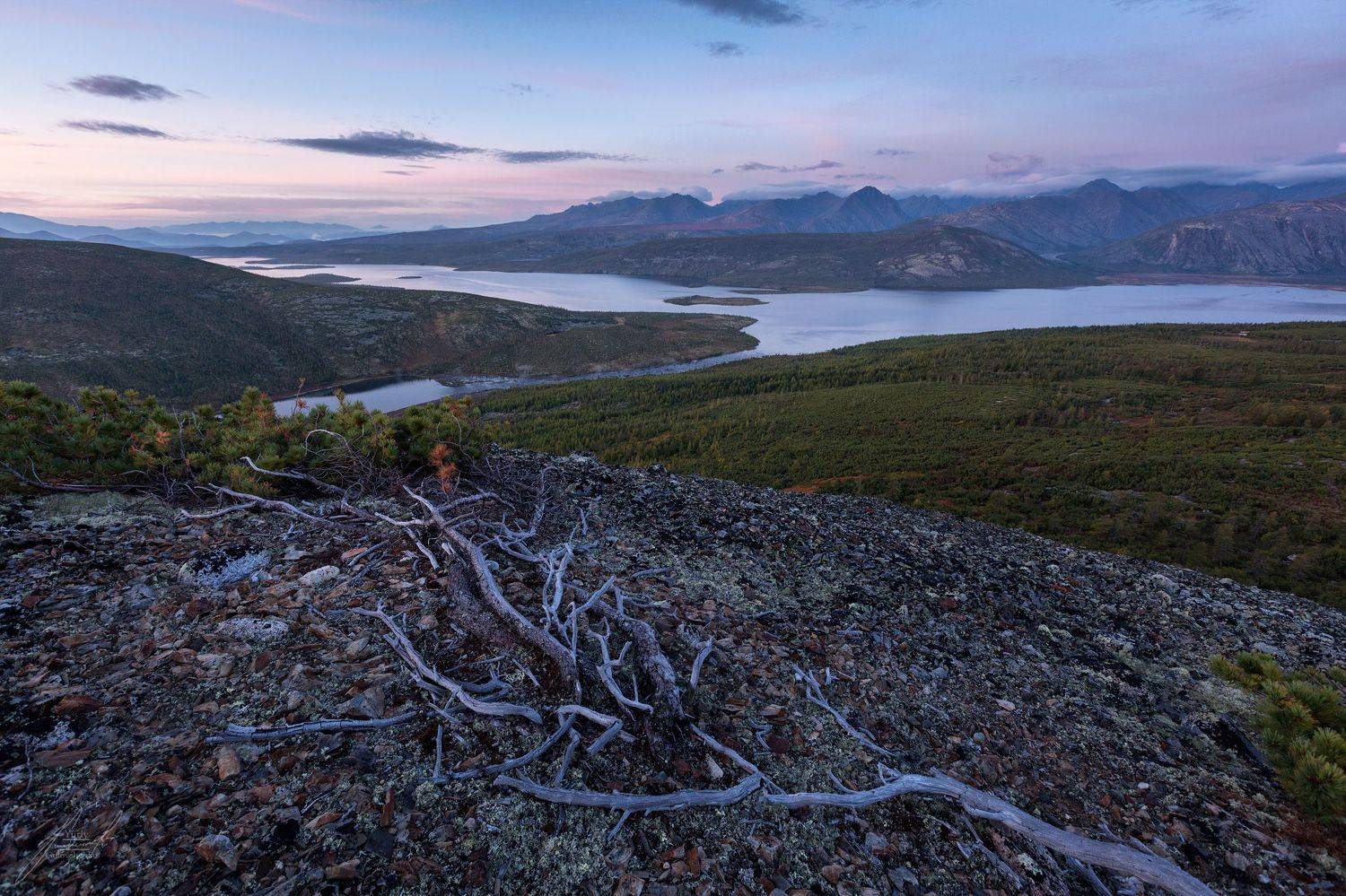 , Юрий Головченко