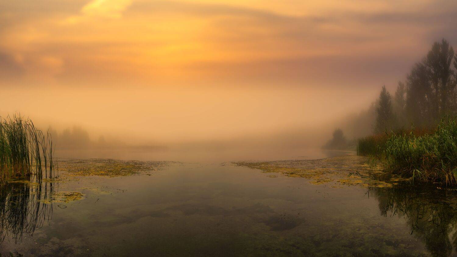 , Семенко Александр