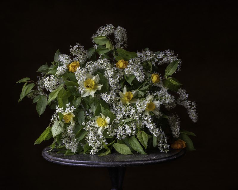 Душистая черёмуха фото превью