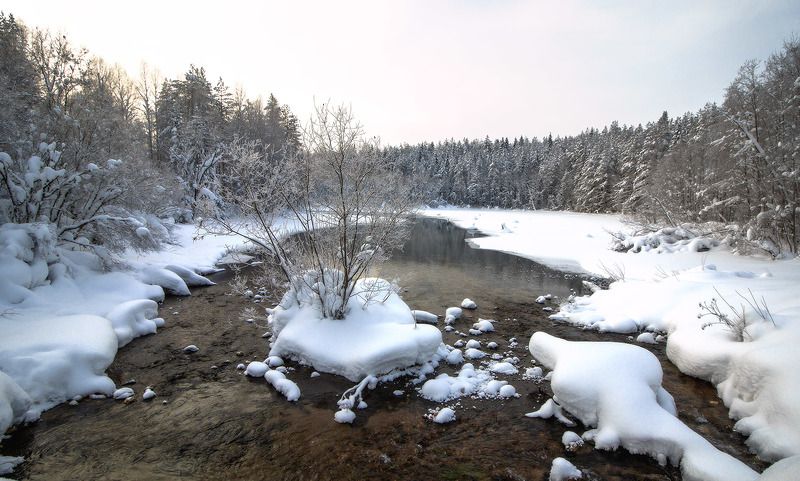 Времена года фото превью