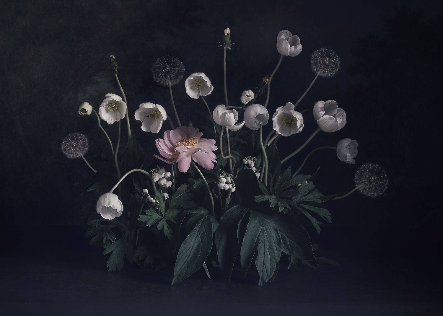 , Виктория Шаманова