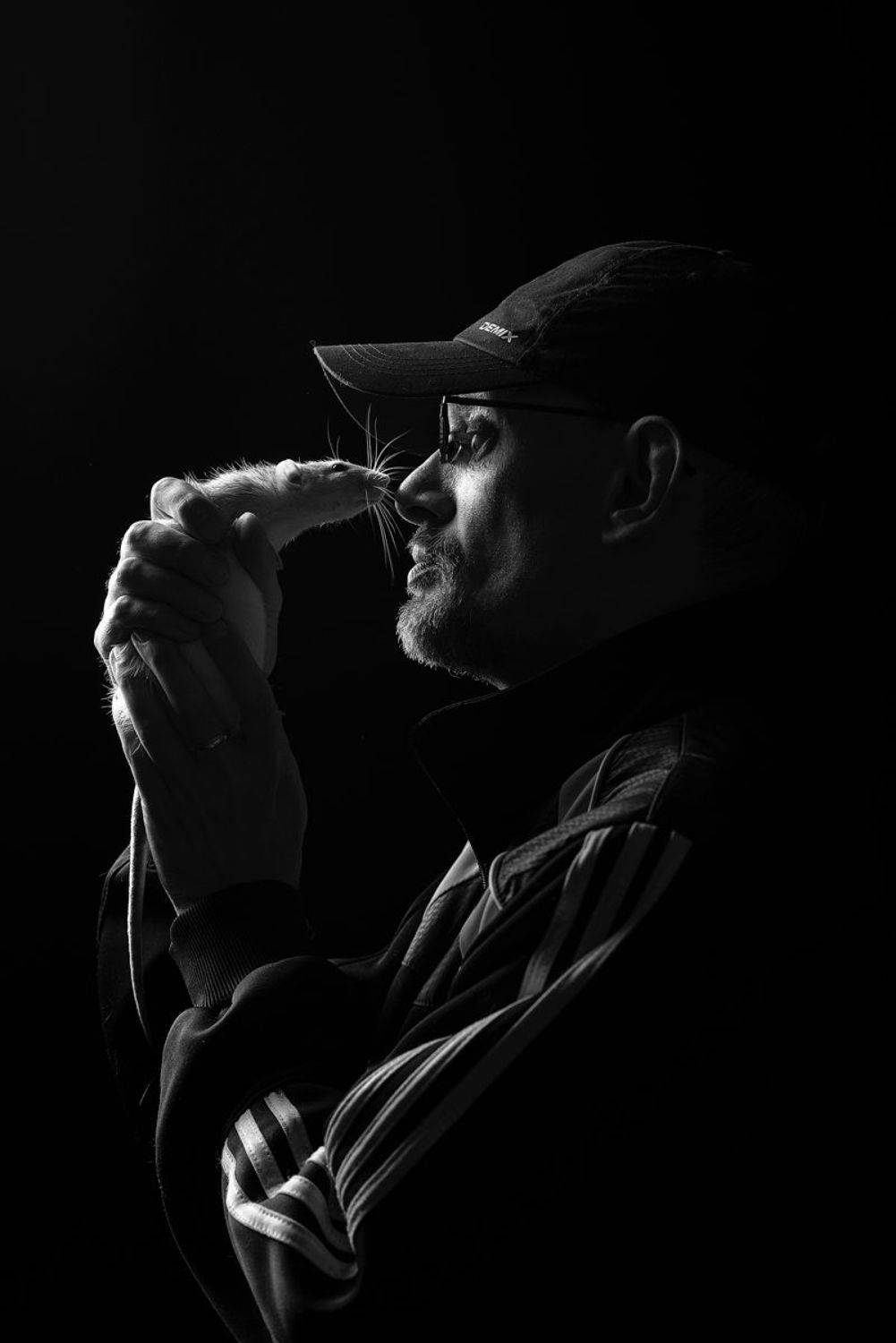 крыса, крыса дамбо, животные, грызуны, мужчина, Евгений Крутиков