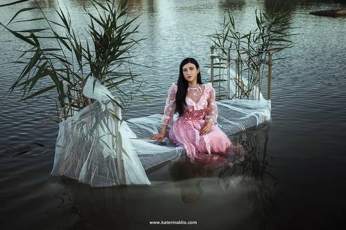 Summer night Dream