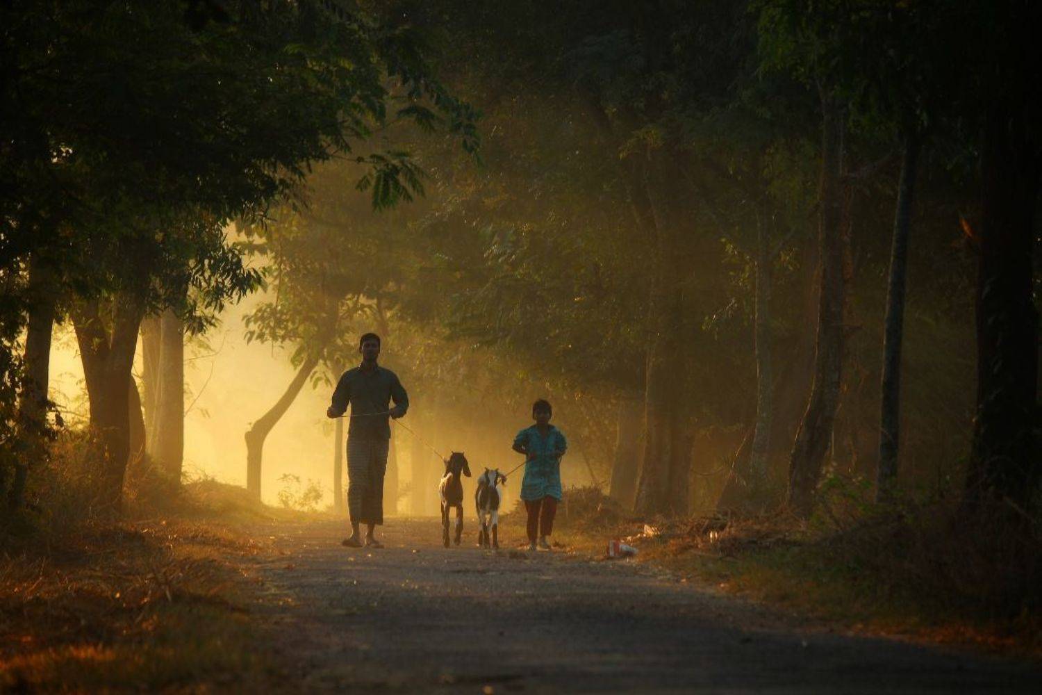 Dailylife, Fuad sarker