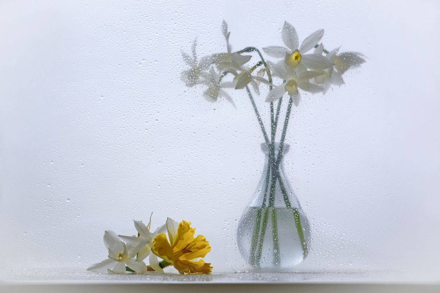 , Марина Никифорова