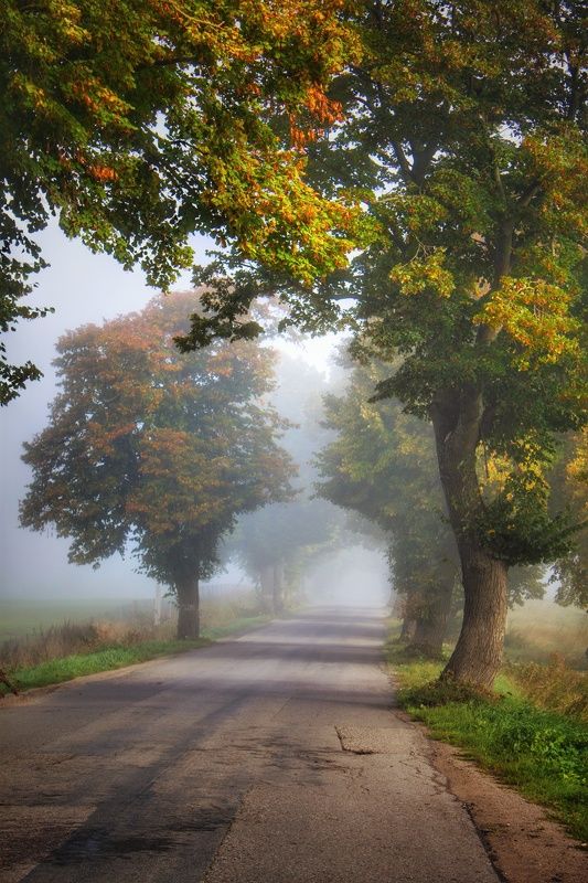 Очарование дорожных арочек фото превью