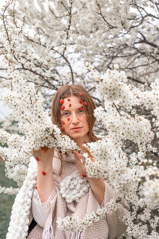 LadyBug фото превью