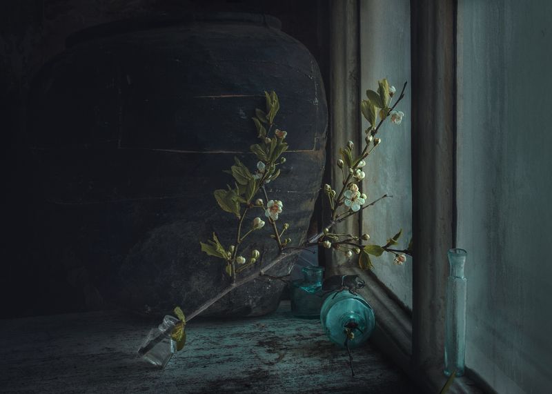 Cherry фото превью