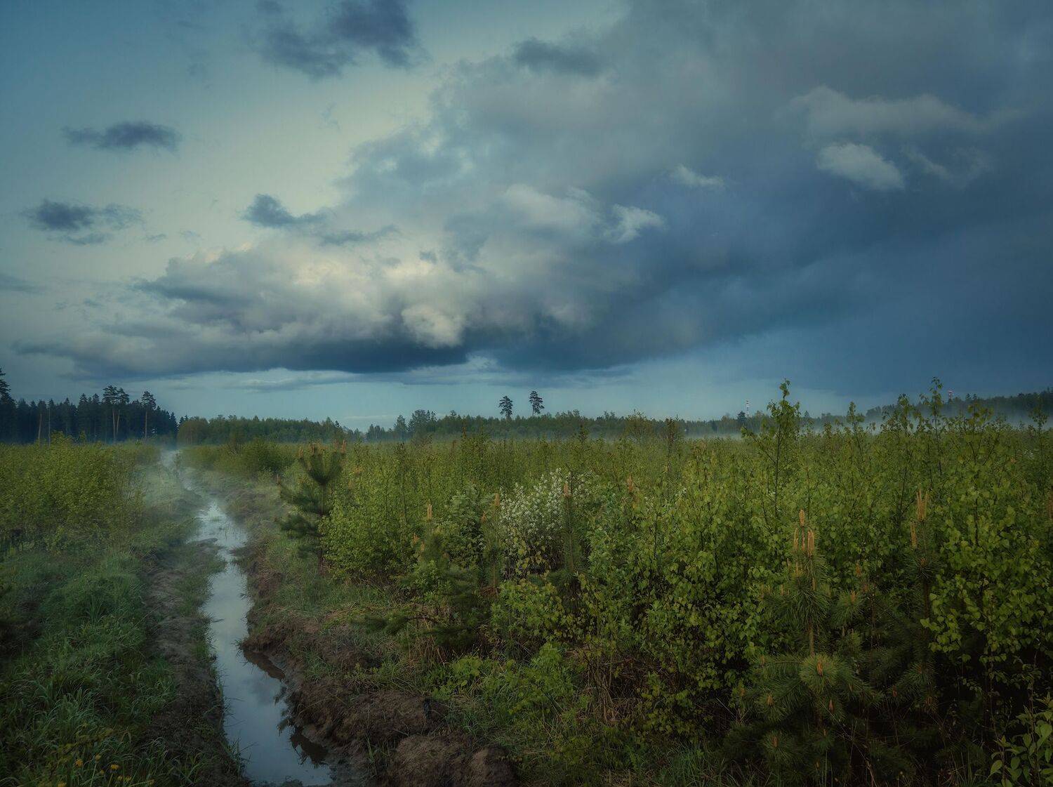 , Константин Дэм