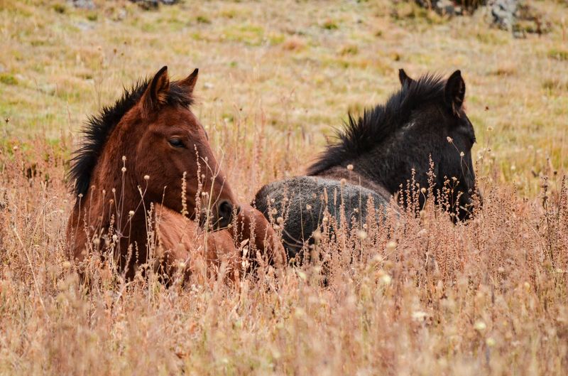 Отдых фото превью