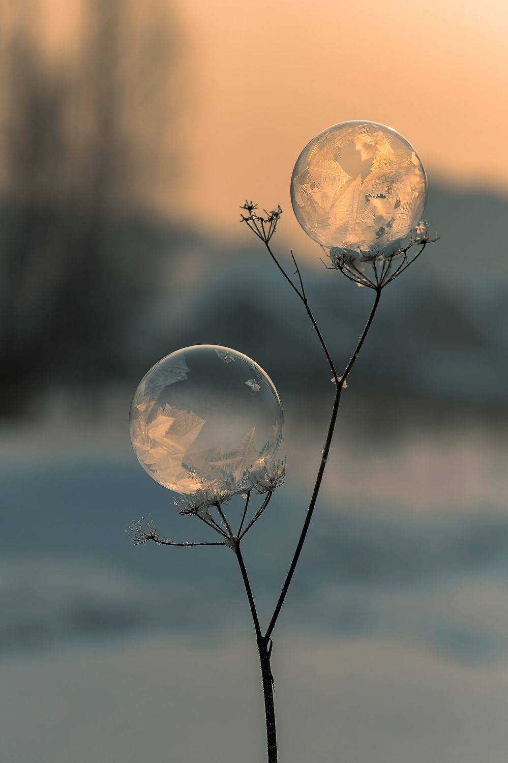 , Andrey Pristyazhnyuk