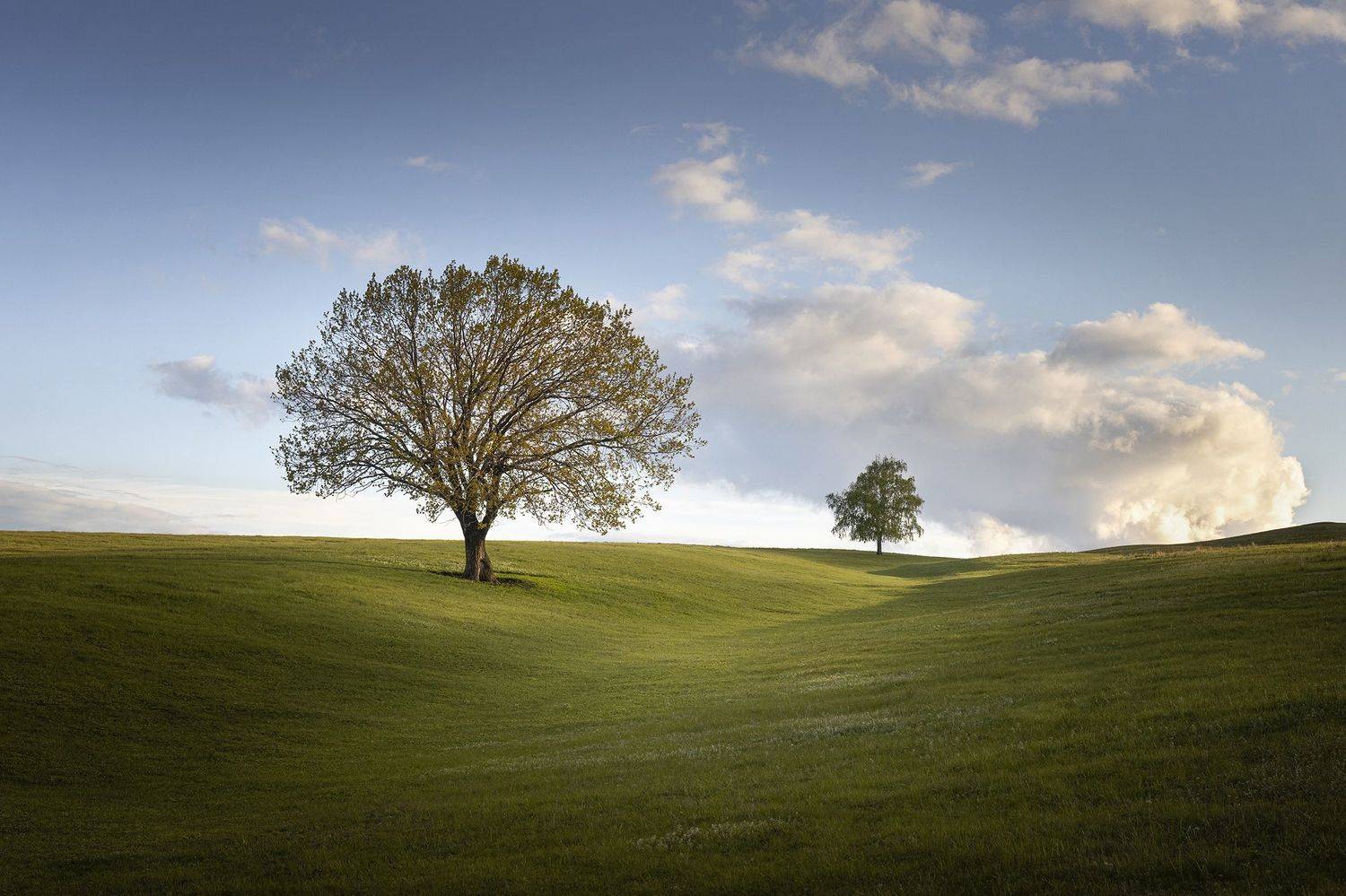 , Бирюкова Татьяна