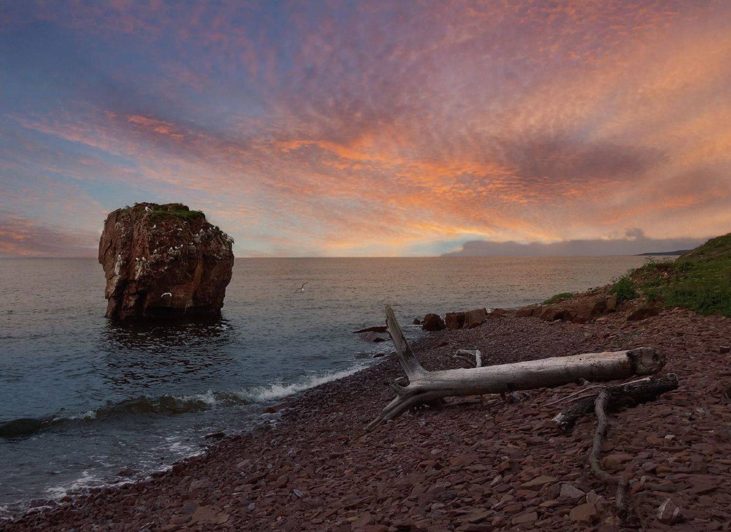 природа, закат, море, остров, чайки,, Алиева Татьяна