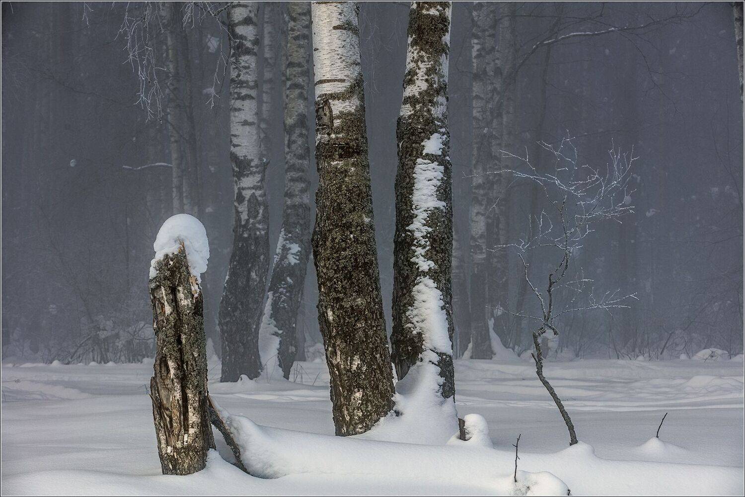 , михайлов
