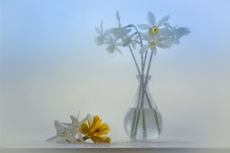 Голубая весна фото превью