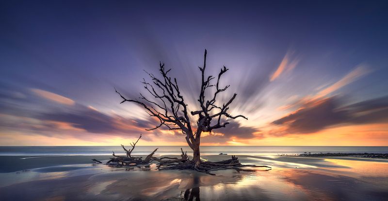 Driftwood Beach фото превью