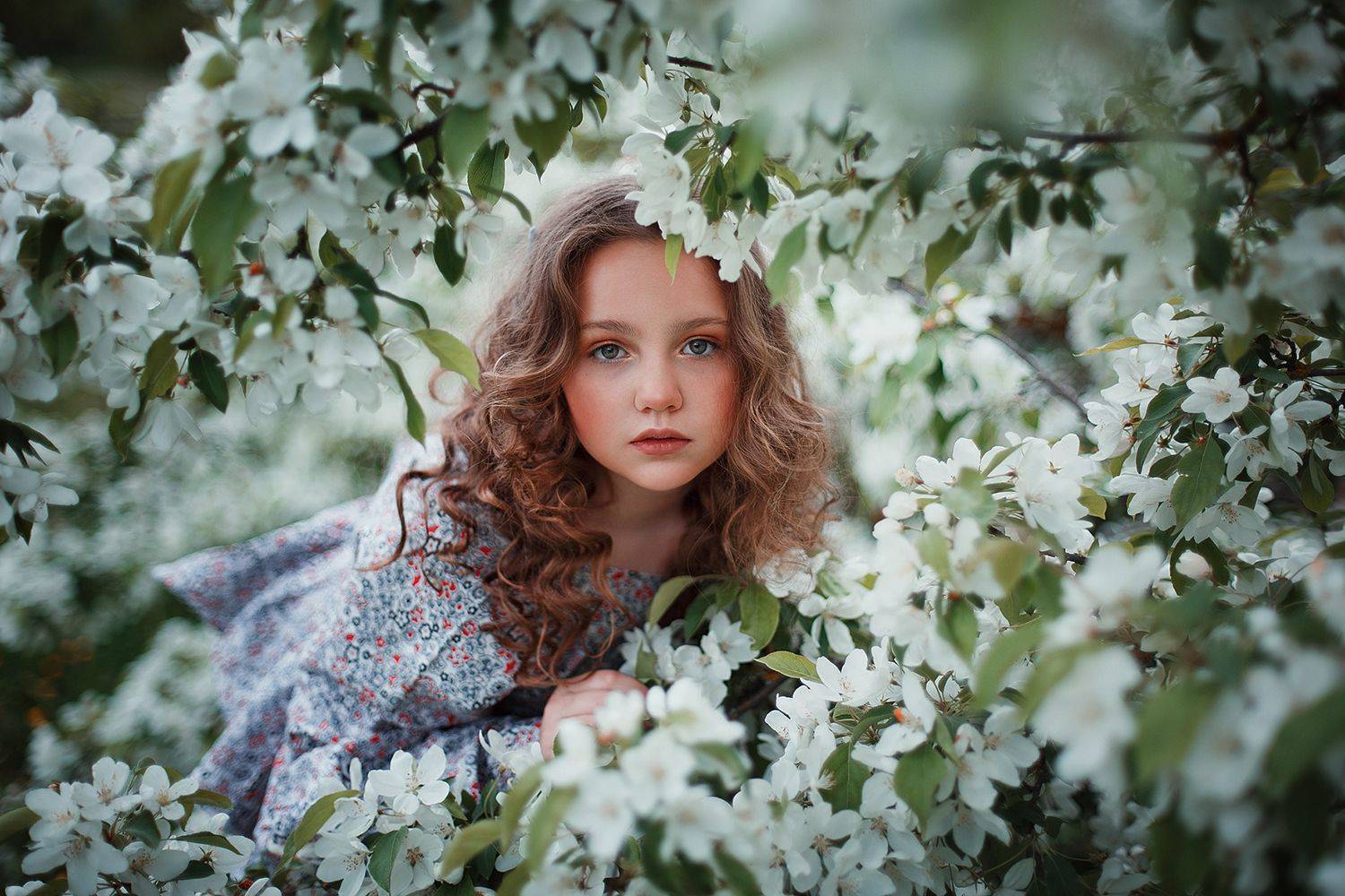 , Александра Шимолина