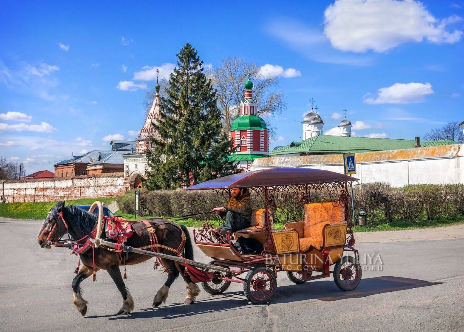 суздаль, ризоположенский монастырь, лошадь, повозка, Юлия Батурина