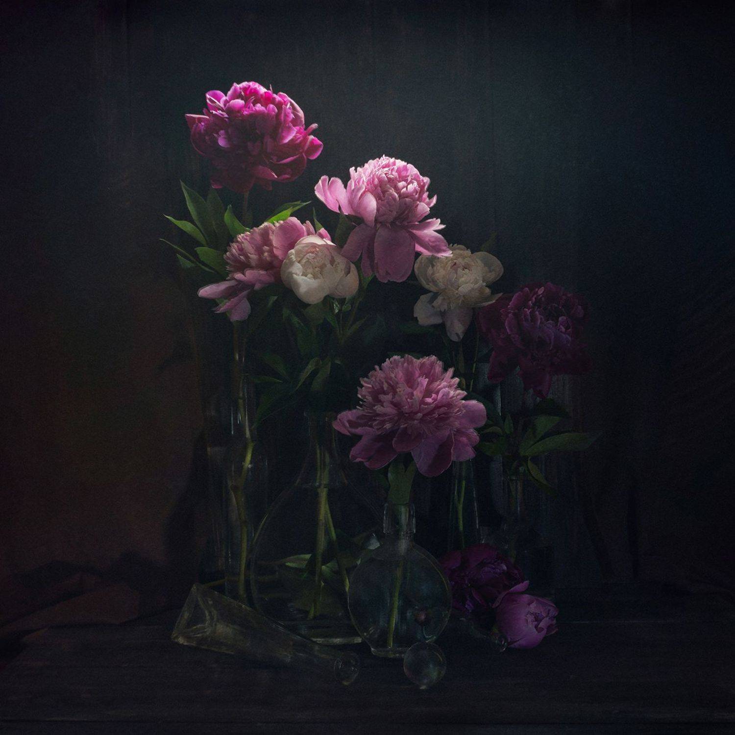 , MVO (Марк Орлов)