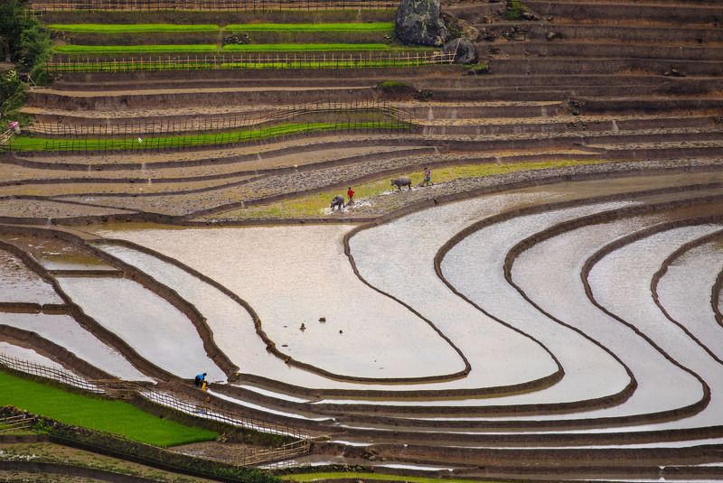 Curves фото превью