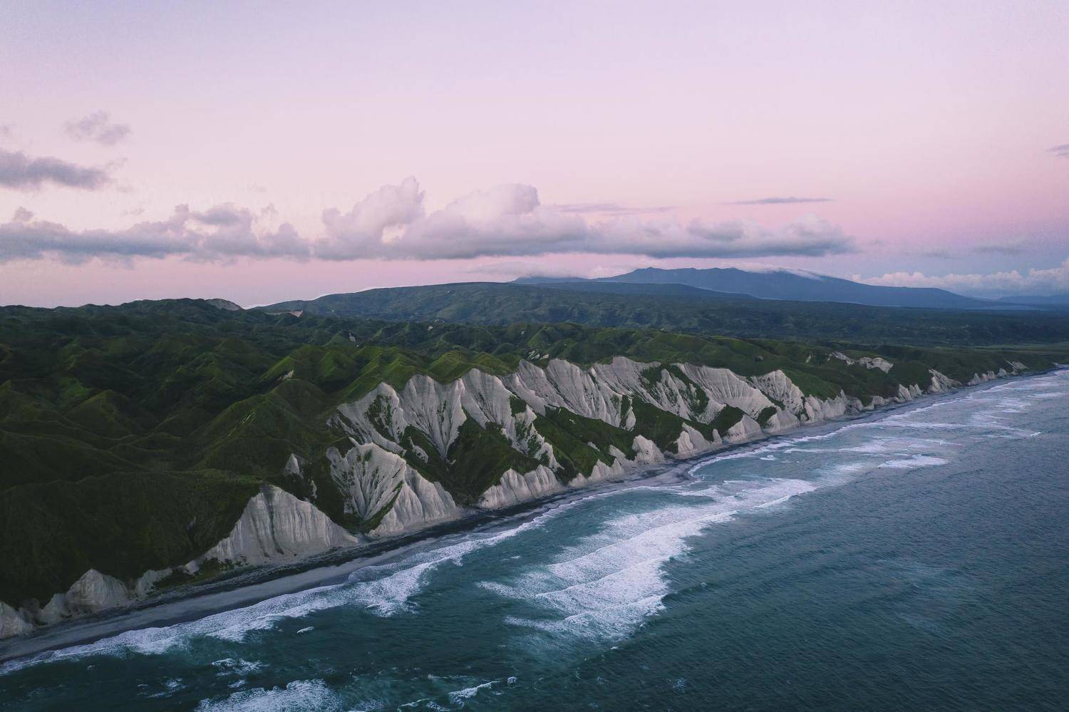 , Разум Митя