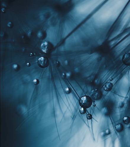 Маленькие планеты