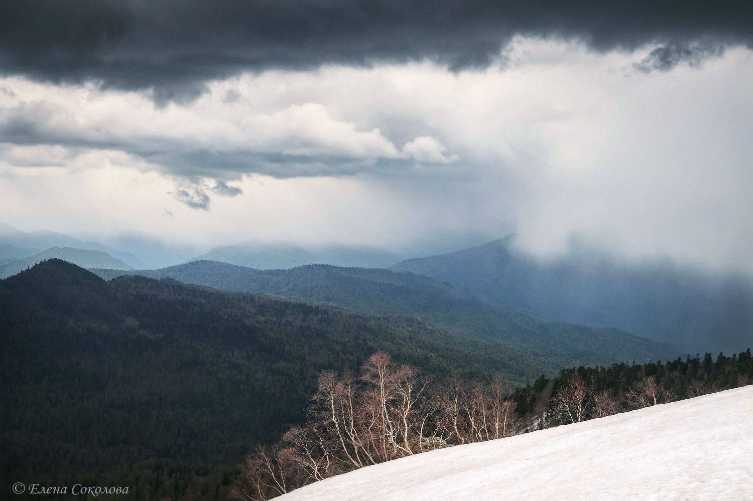 кавказский заповедник, лагонаки, пейзаж, горы, весна, Соколова Елена