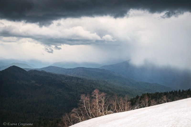 кавказский заповедник, лагонаки, пейзаж, горы, весна Лаго-Наки фото превью