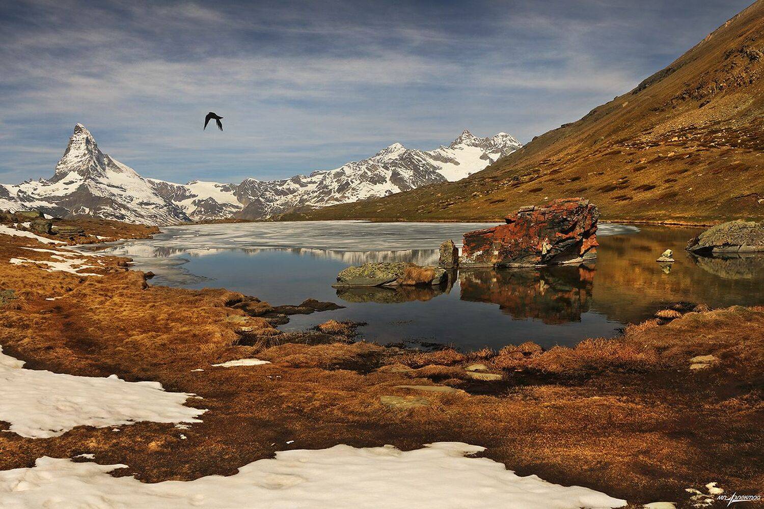 swiss, Матвеев Николай