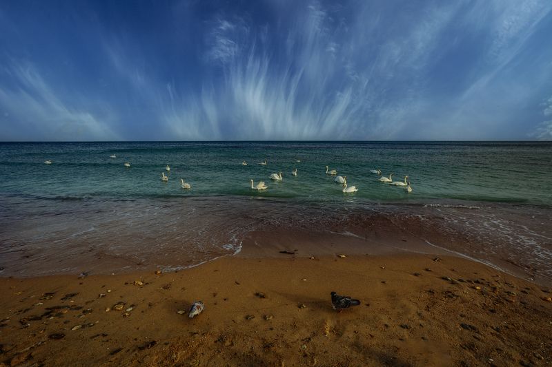 Крым 2022 фото превью