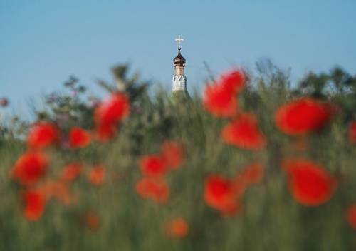 Макового мая тишина.