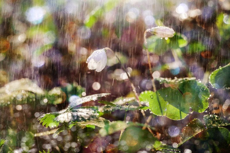 Моё фототворчество фото превью