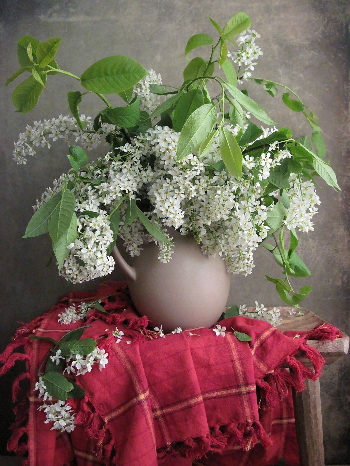 цветы, букет, черёмуха, кувшин, скатерть, Наталия Тихомирова