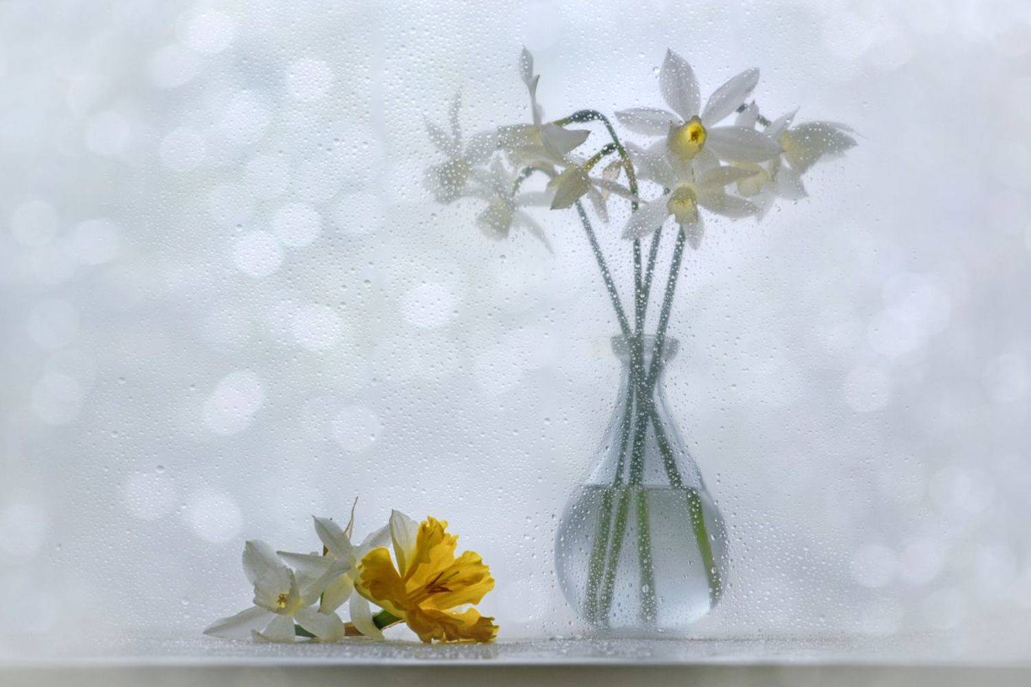 , Марина Никифорова