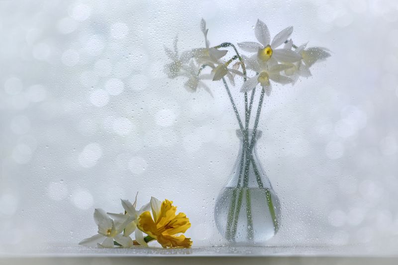 В хороводе света фото превью