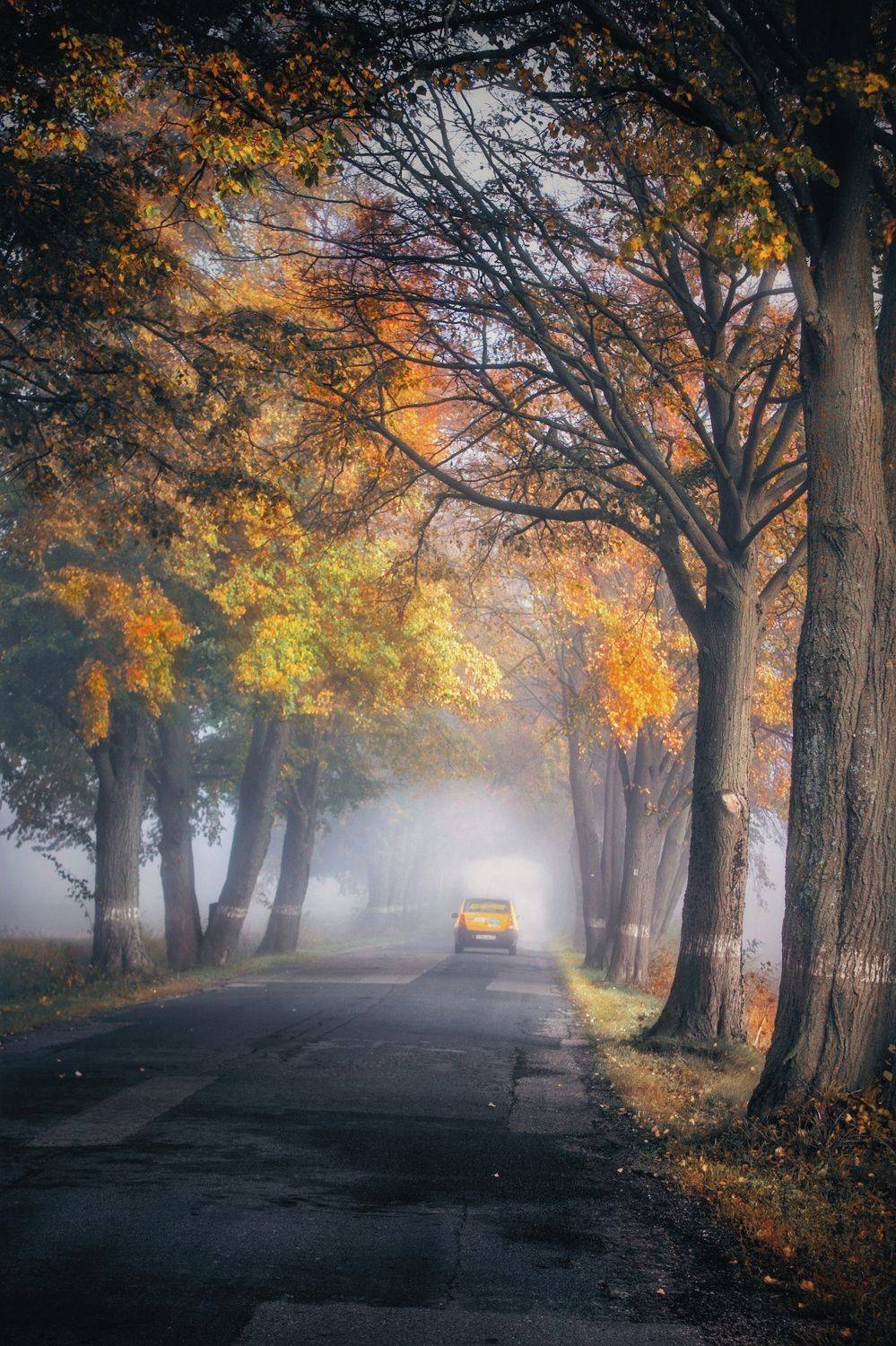 , Татьяна Максакова