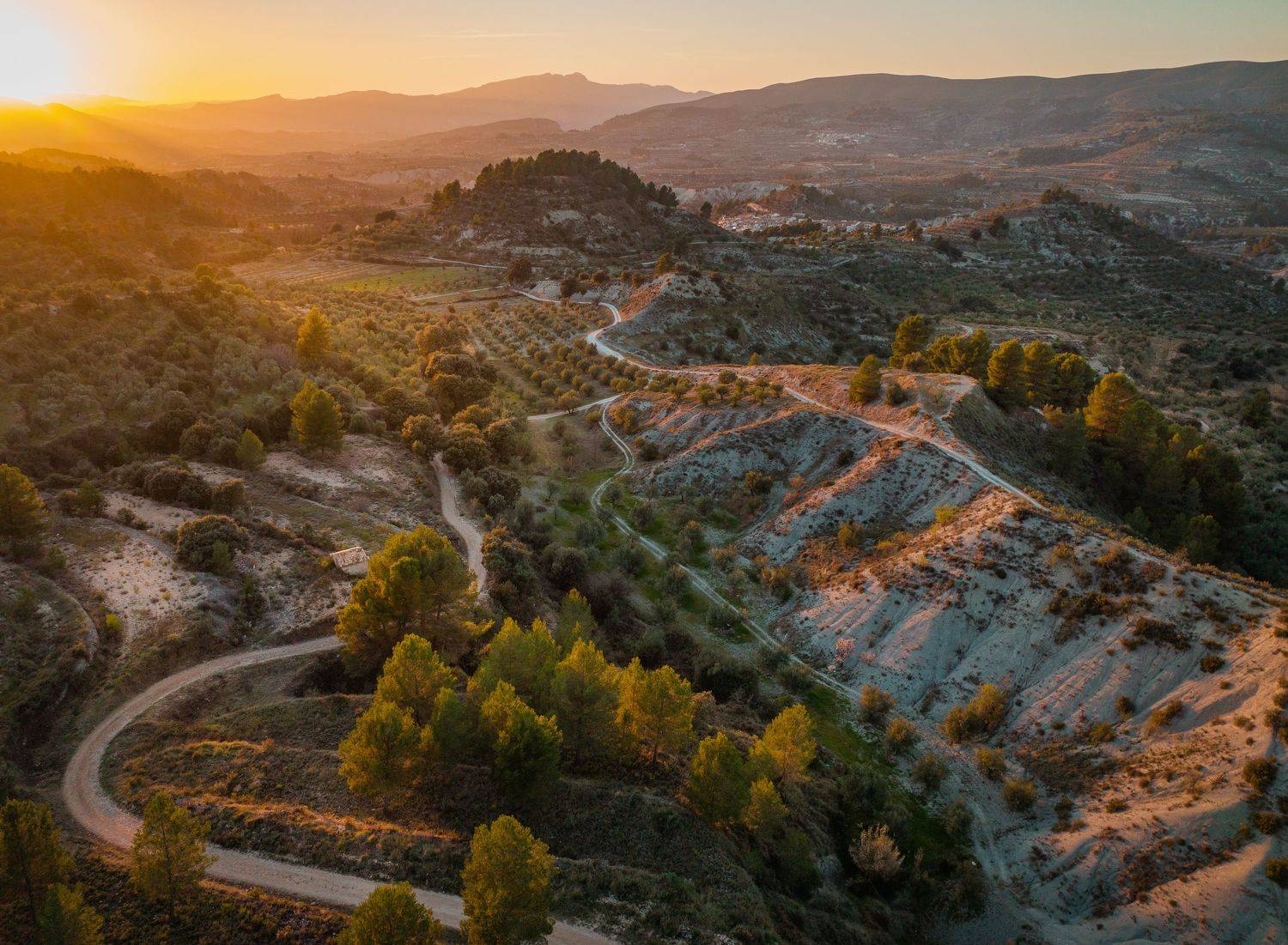 , Алекс Римский