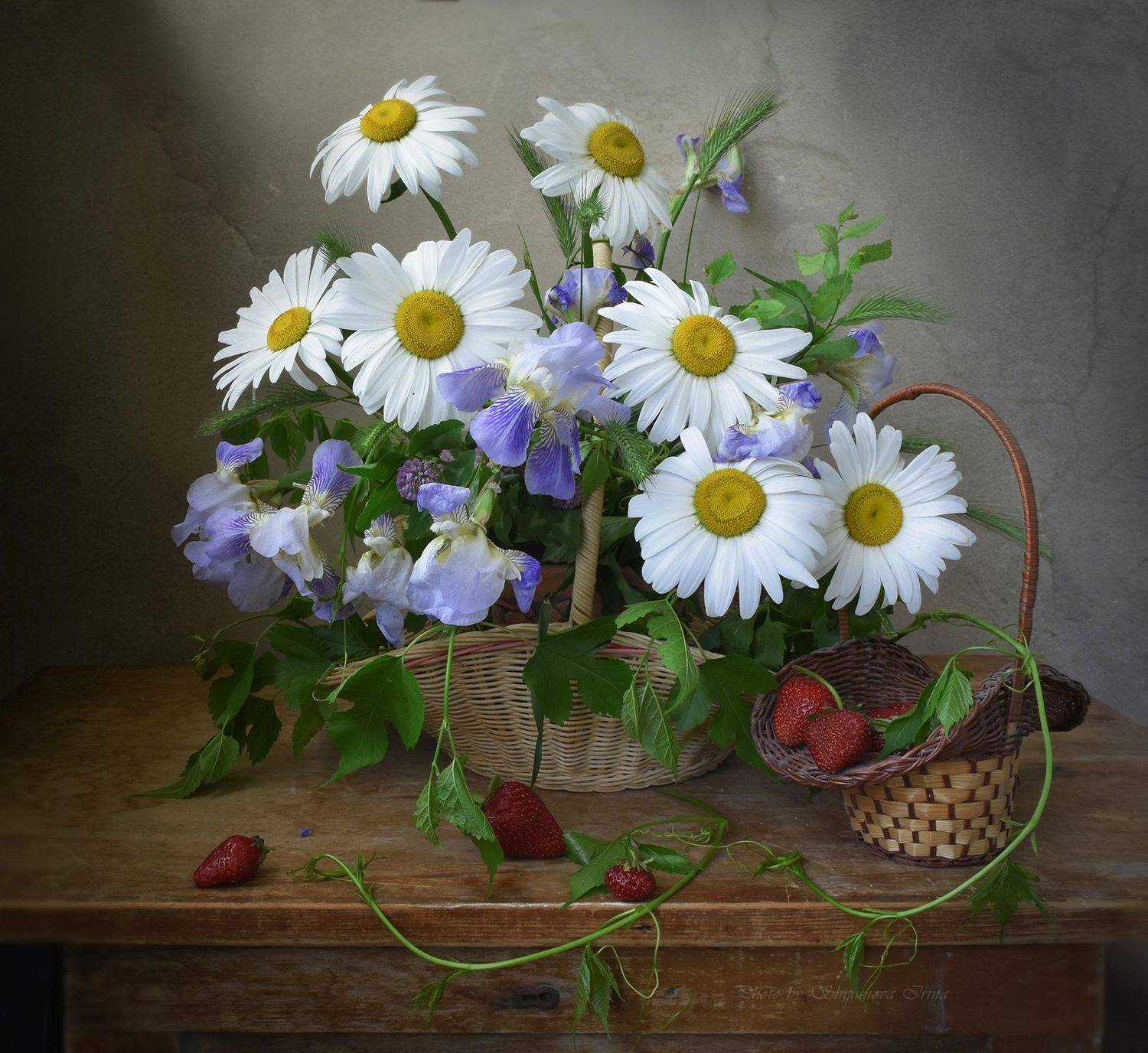 , Шипунова Ирина