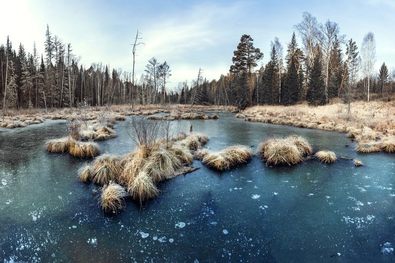 болото, лед, голубое Замерзшее болото фото превью