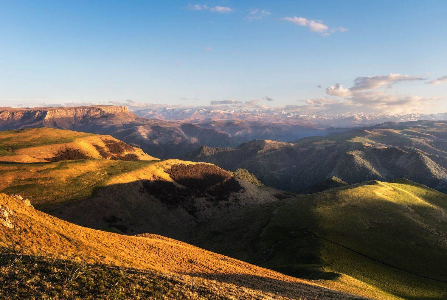 , Шевченко Юрий