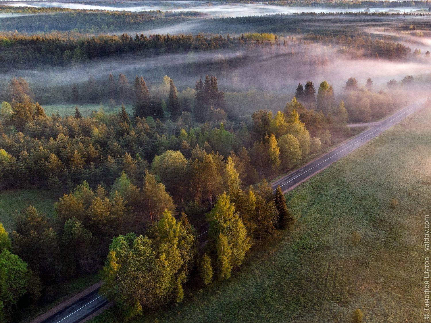 валдай, Тимофей Шутов